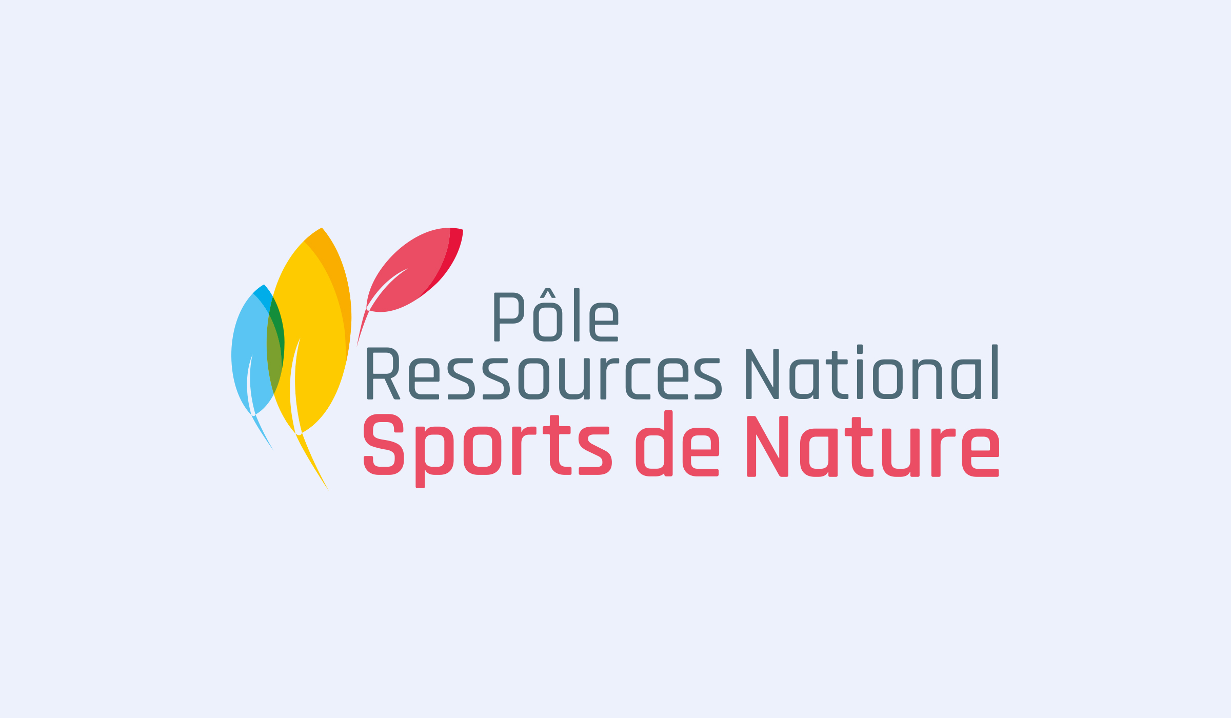 Réalisation du logo PRNSN par l'agence de communication