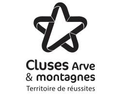 Logo 2CCAM